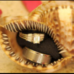 wedding-rings_shell